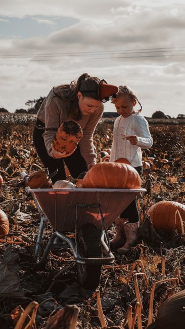 A family picking pumpkins together, similar to the family experience offered here