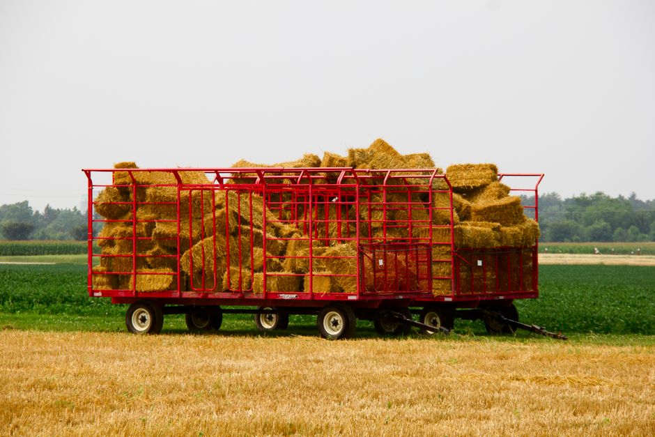 A hay wagon on a farm, similar to the hayride offered here